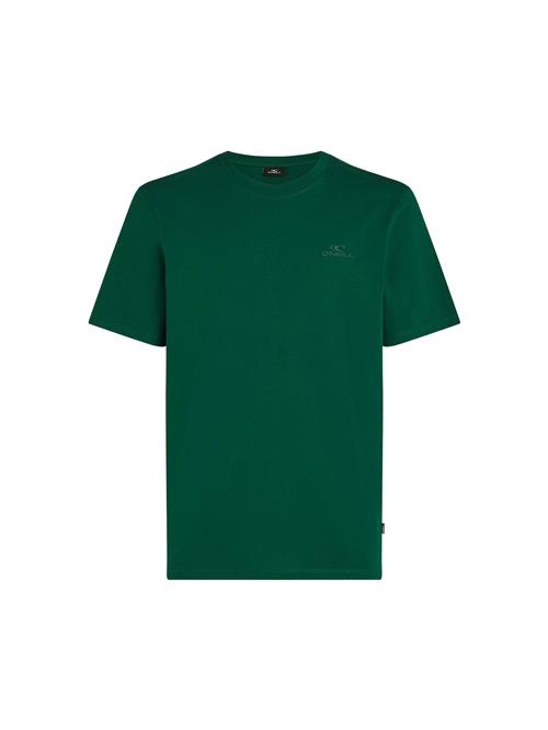 O'NEILL Bluser & t-shirts  grøn