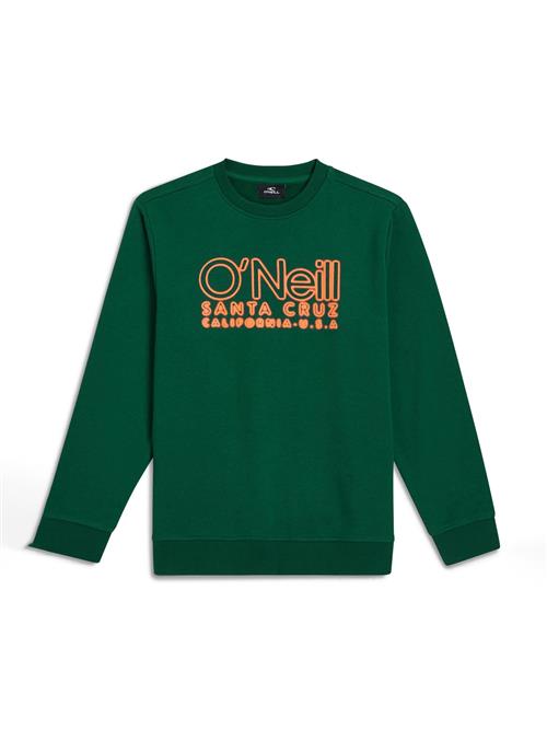 O'NEILL Sweatshirt  grøn / orange
