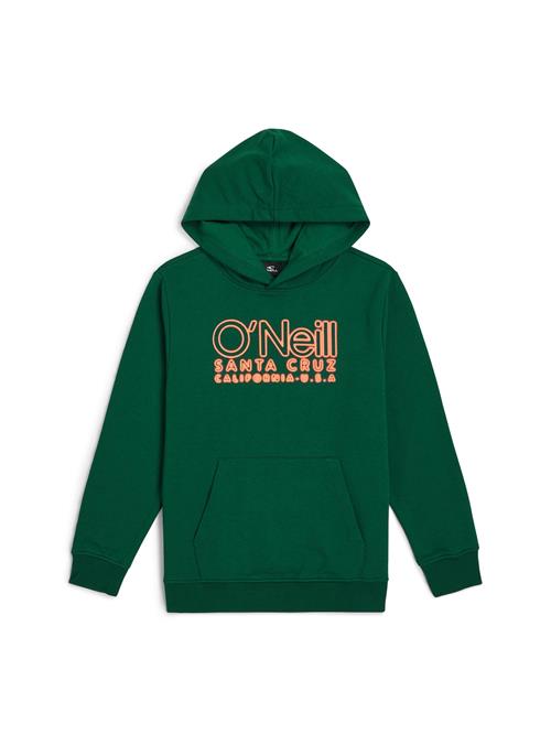 O'NEILL Sweatshirt  grøn / orange