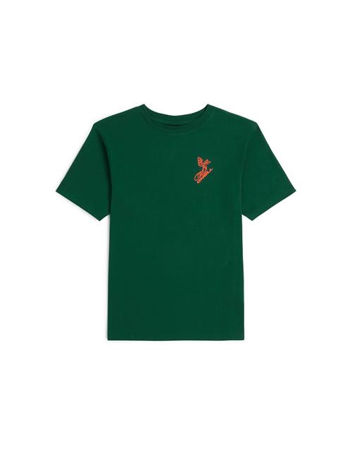 O'NEILL Shirts  gran / orange