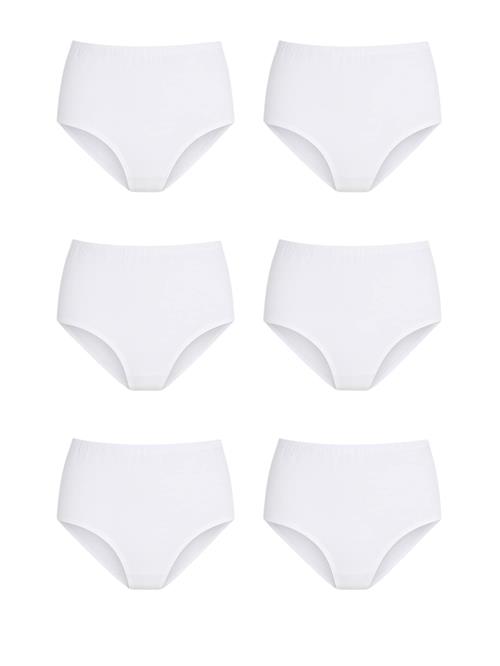 fashionshowcase Slip 'COTTONBASICS'  hvid