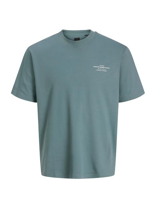 JACK & JONES Bluser & t-shirts 'JPRBLACHAD'  dueblå