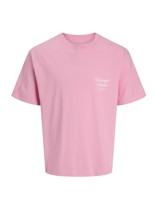 JACK & JONES Bluser & t-shirts 'JORNORREBRO'  lyserød / hvid