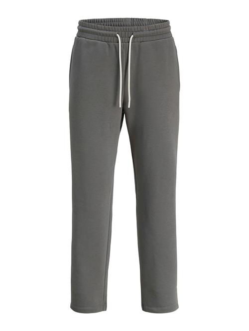 JACK & JONES Bukser 'JPSTKarl Caspar'  grå / hvid