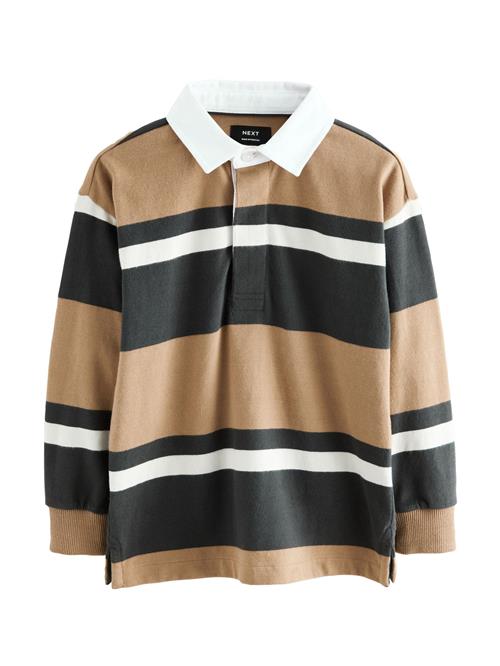 Next Shirts  cappuccino / sort / hvid