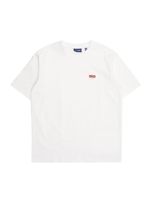 Only & Sons Junior Shirts 'OSJFRED'  hvid