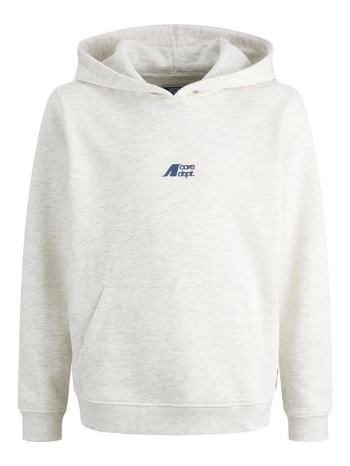 Jack & Jones Junior Sweatshirt  blå / hvid