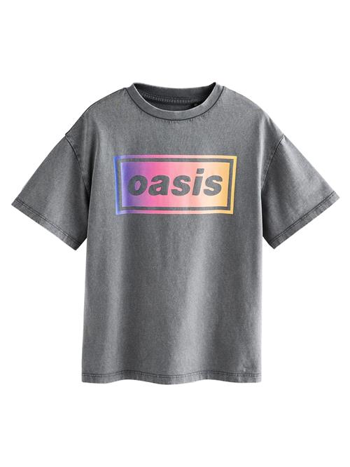 Next Bluser & t-shirts  lyseblå / grå / lyselilla / koral