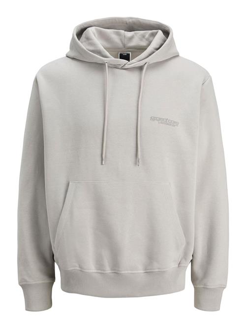 JACK & JONES Sweatshirt 'Union'  grå / lysegrå