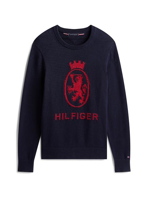 TOMMY HILFIGER Pullover  navy / mørkerød