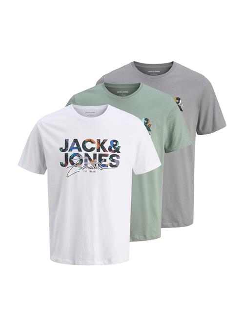 JACK & JONES Bluser & t-shirts 'JJGEPLAS'  blå / grå / pastelgrøn / hvid