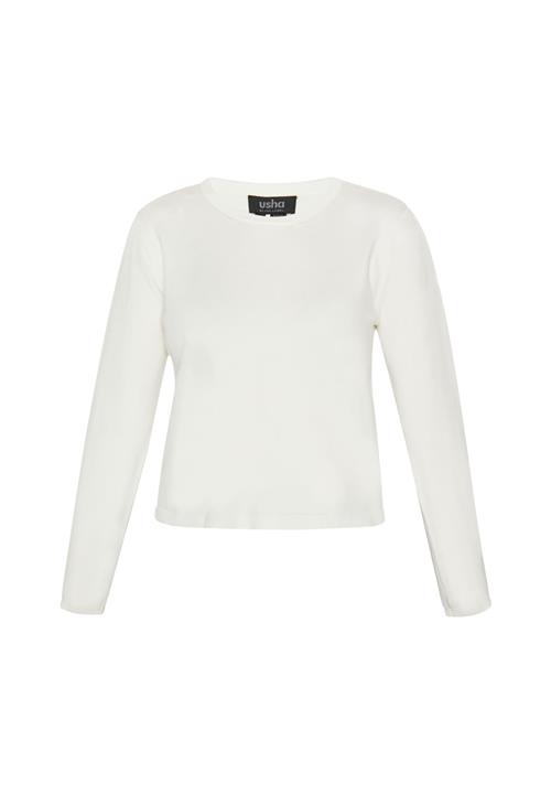 usha BLACK LABEL Pullover  offwhite