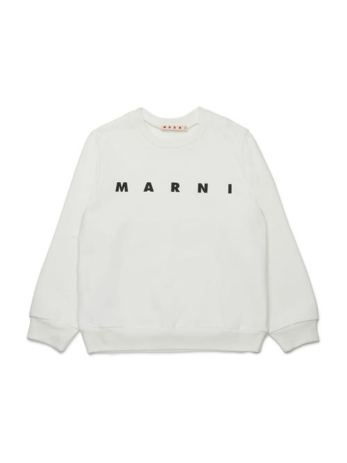 Marni Sweatshirt  beige / navy