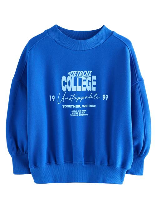 Next Sweatshirt  blå / lyseblå