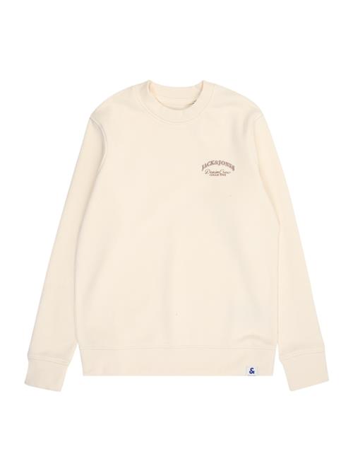 Jack & Jones Junior Sweatshirt  brun / uldhvid