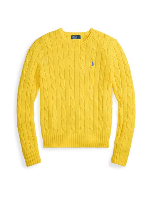 Polo Ralph Lauren Pullover  royalblå / gul