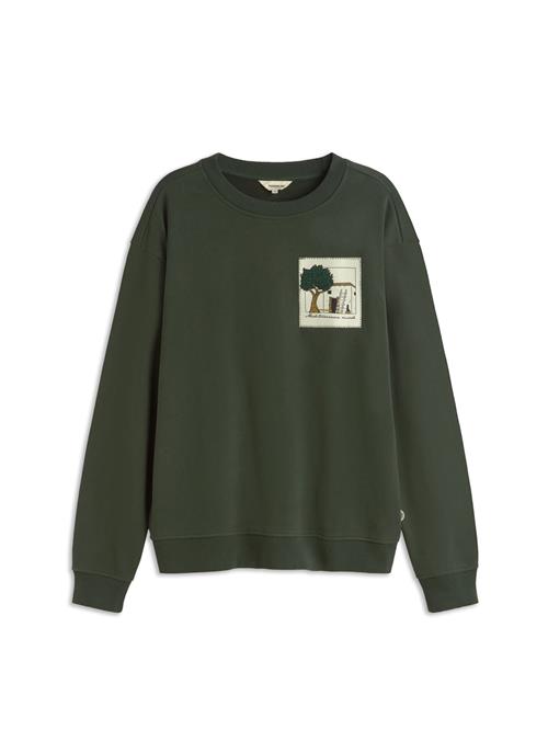 Thinking MU Sweatshirt 'Leon'  brun / mørkegrøn / naturhvid
