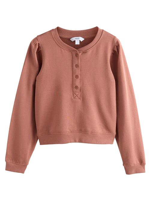 Next Sweatshirt  brun