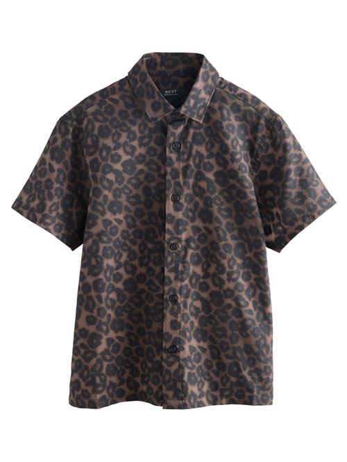 Next Shirts  brun / mørkebrun