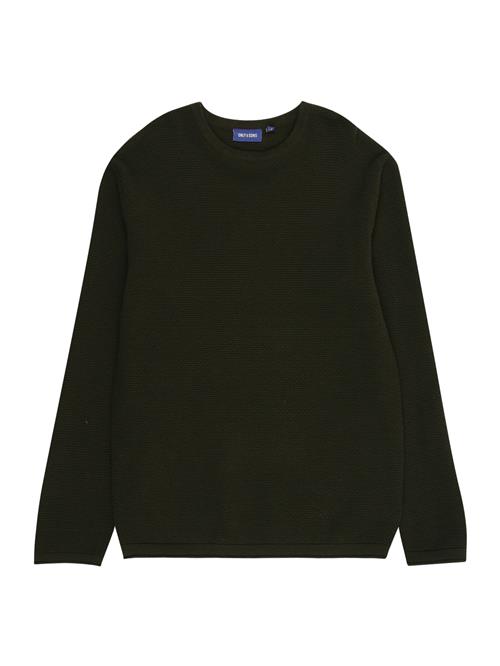 Only & Sons Junior Pullover 'OSJPANTER'  mørkegrøn