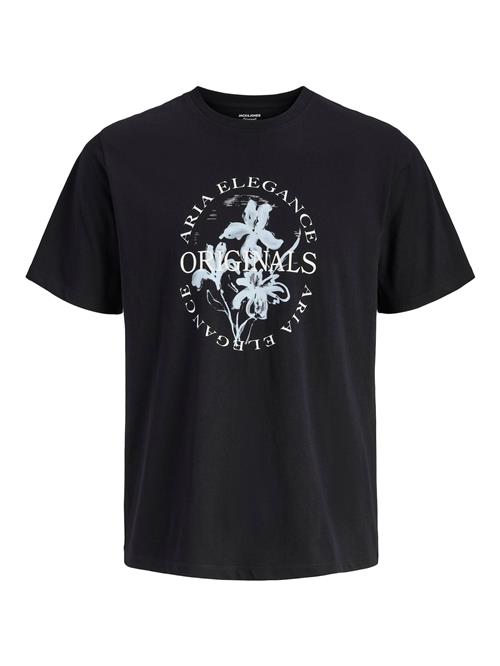 JACK & JONES Bluser & t-shirts  pastelblå / sort / hvid