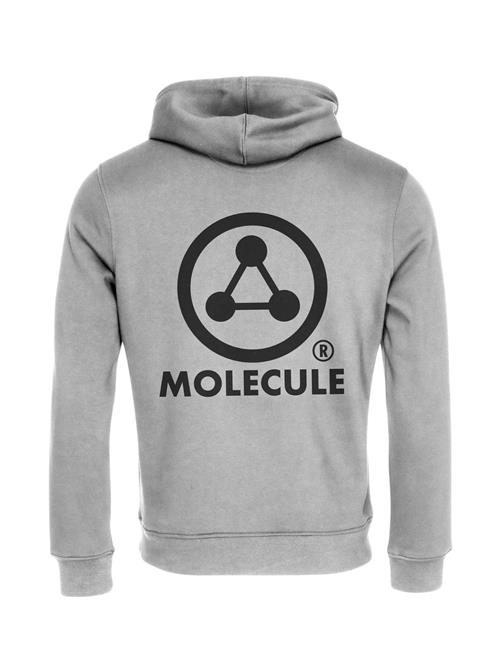 Molecule Sweatshirt  grå / sort