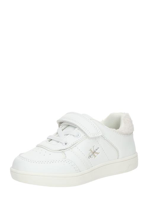 Calvin Klein Sneakers  greige / mørkegrå / hvid