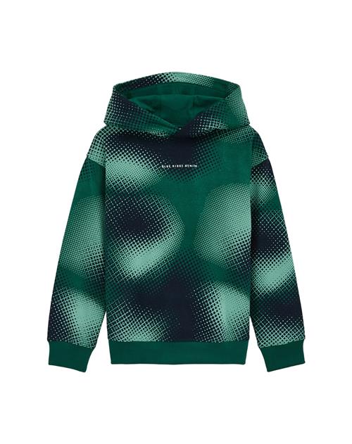 WE Fashion Sweatshirt  marin / grøn / mint / gran