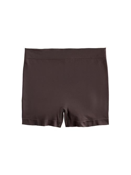 Next Panty 'N. Premium'  choko