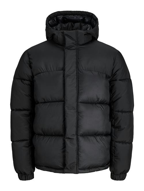 JACK & JONES Vinterjakke 'JCOUnion'  sort