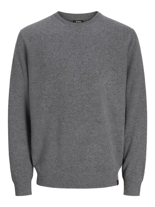 R.D.D. ROYAL DENIM DIVISION Pullover 'RDDBROOKS'  grå