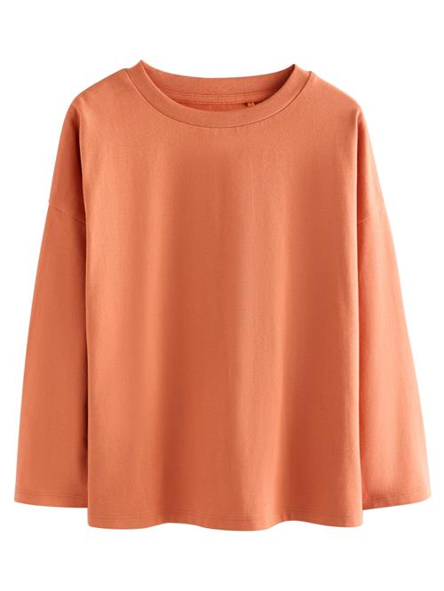 Next Bluser & t-shirts  rustbrun