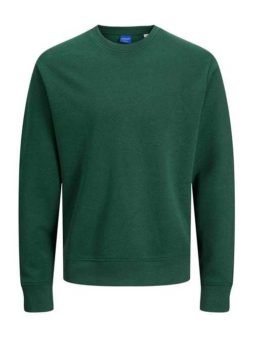 JACK & JONES Sweatshirt 'JORCITY'  mørkegrøn / hvid