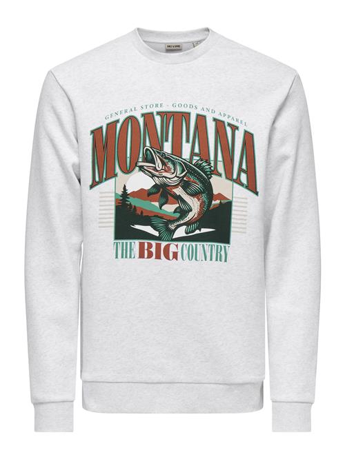 Only & Sons Sweatshirt 'ONSCERES'  brun / grå-meleret / grøn / sort