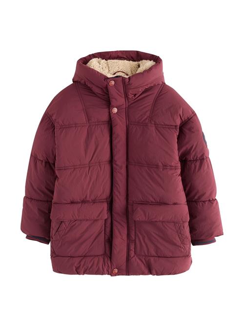 Next Frakke  burgunder