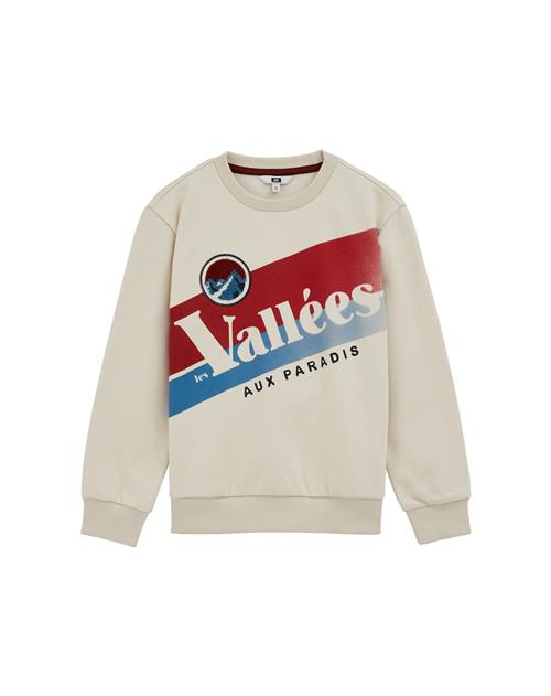WE Fashion Sweatshirt  beige / blå / mørkerød / sort