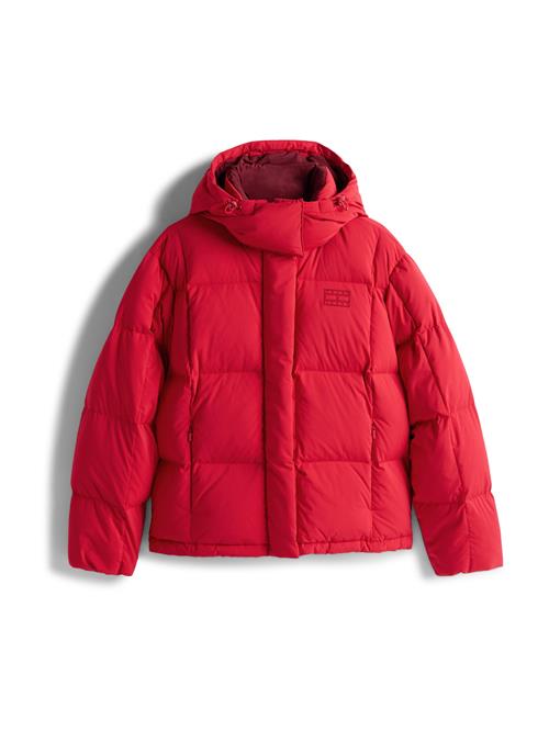 Tommy Jeans Vinterjakke 'ALASKA'  kirsebærsrød