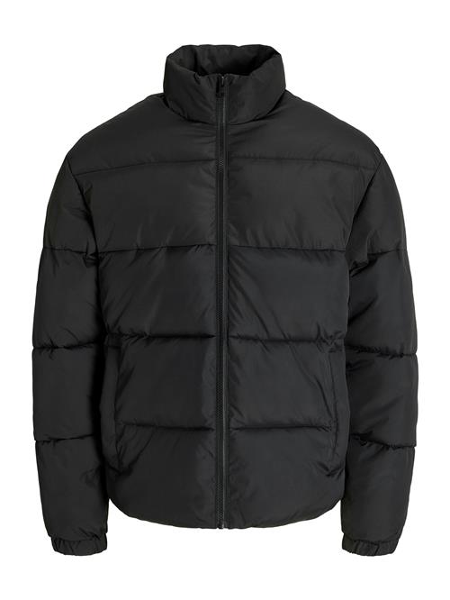 JACK & JONES Vinterjakke 'MAZE'  sort