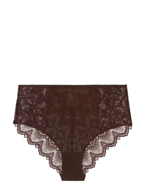 Understatement Underwear | Lace Mesh Highwaist Briefs | M