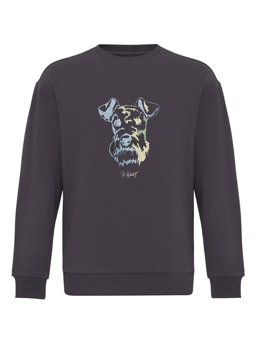 Williot Sweatshirt  grå / blandingsfarvet