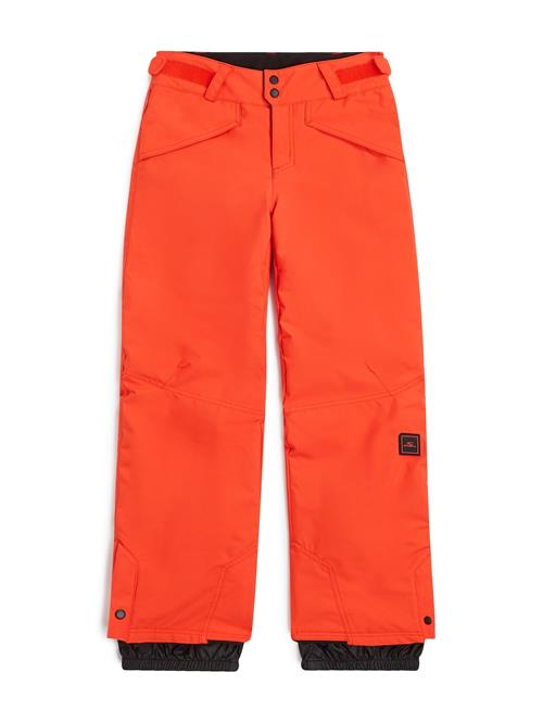 O'NEILL Sportsbukser 'Hammer'  brandrød