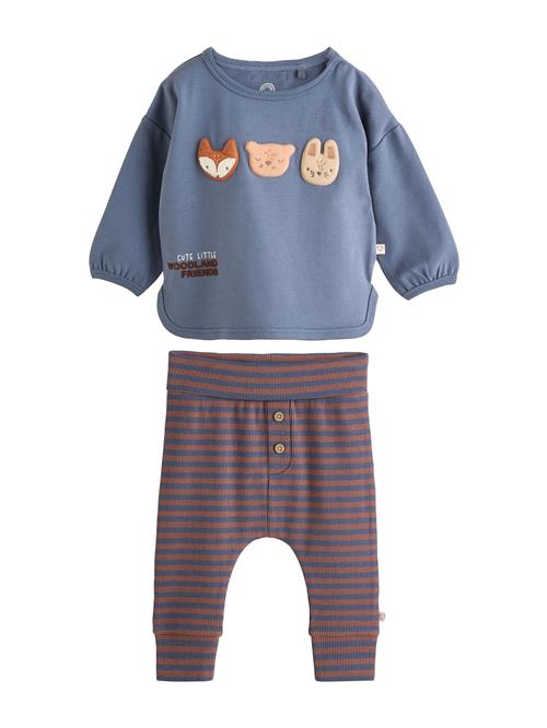 Next Sæt  dueblå / kastaniebrun / umbra / mørkeorange