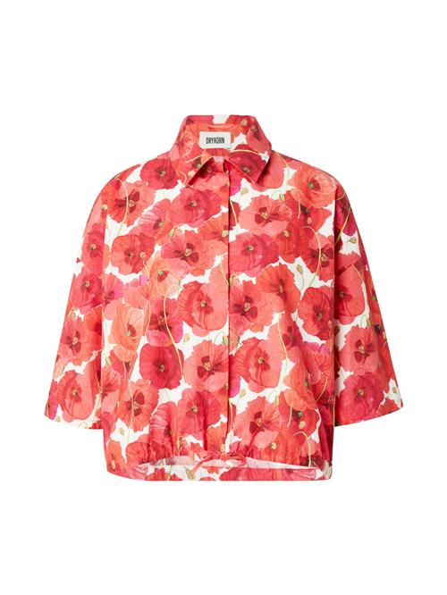 DRYKORN Bluse 'LAINAY'  rød / hvid