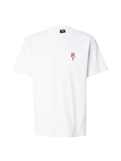 Iriedaily Bluser & t-shirts  grå / pink / sort / hvid