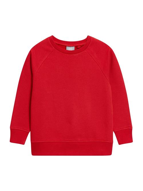 Next Sweatshirt  rød