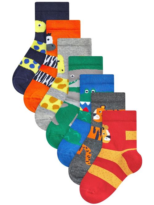 Next Sokker  mørkegrå / grå-meleret / grøn / orange