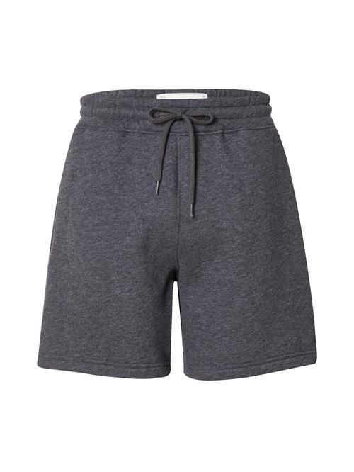 HOLLISTER Bukser  antracit