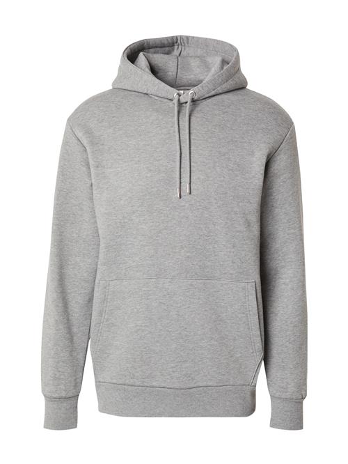 SELECTED Sweatshirt 'SLHDAN'  grå