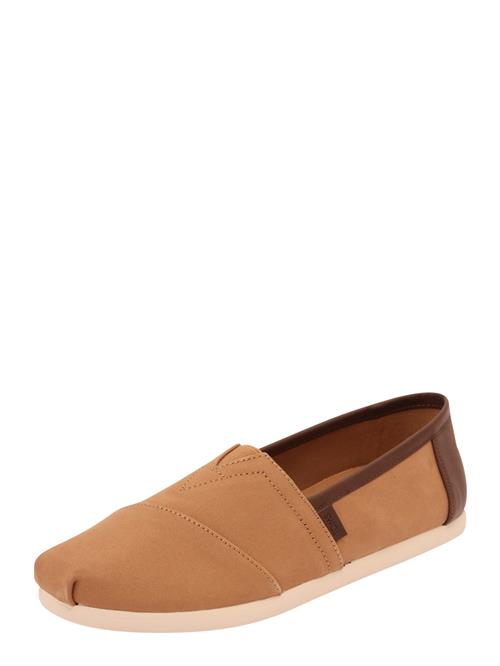 TOMS Slipper  brun / mørkebrun