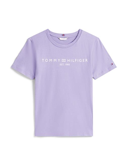 TOMMY HILFIGER Shirts  lilla / hvid